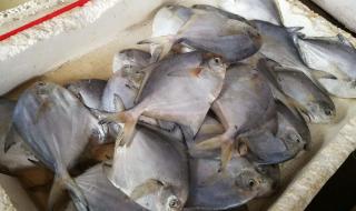 鲜活农产品品种目录 鲜活农产品品种目录